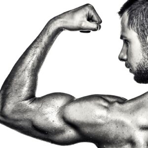Build lean muscle